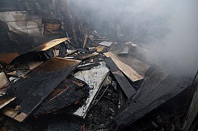 《怪物猎人：崛起》新随从猫狗上线 参考海外玩家意见制作